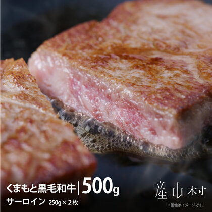 くまもと黒毛和牛・サーロイン約500g【配送不可地域：離島】【1347699】