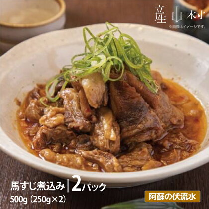 外輪 本格馬すじ煮込み 馬すじ 煮込み 熊本 冷凍 馬刺 馬肉 絶品 おつまみ 贈答用 ギフト お中元 お歳暮 産山村 送料無料【b2-1803-2】