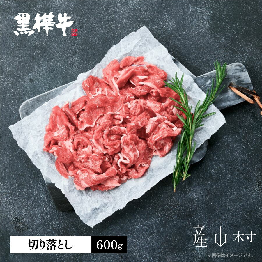 熊本県産黒毛和牛　黒樺牛切り落とし　600g 肉好き必見 黒毛和牛 黒樺牛 肉 牛肉 切り落とし 国産 専門店 熊本県 取り寄せ 贈答 ギフト お中元 お歳暮 熊本 阿蘇 産山村 送料無料