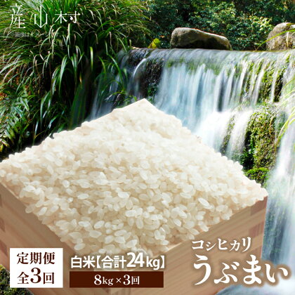 【令和5年米　定期便3回】うぶまい(コシヒカリ　白米)8kg〈阿蘇の名水　池山水源米〉