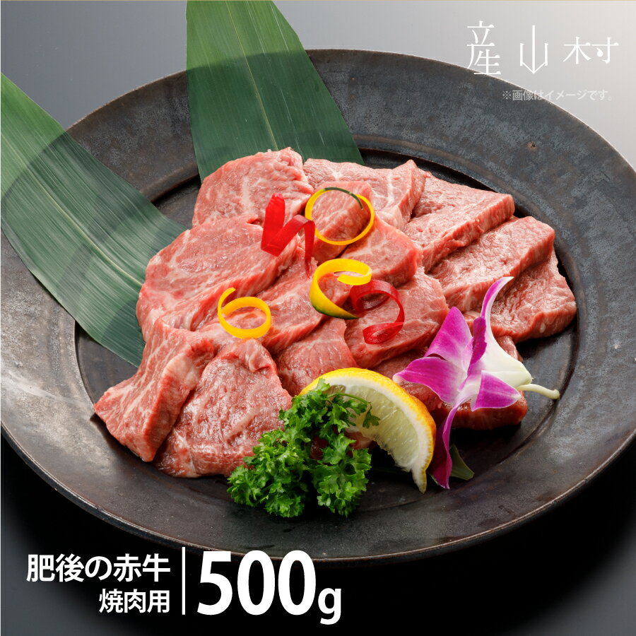 肥後の赤牛 焼肉用 500g 贈答 ギフト お中元 お歳暮 熊本 阿蘇 産山村 送料無料 赤牛 肥後 焼肉 バーベキュー