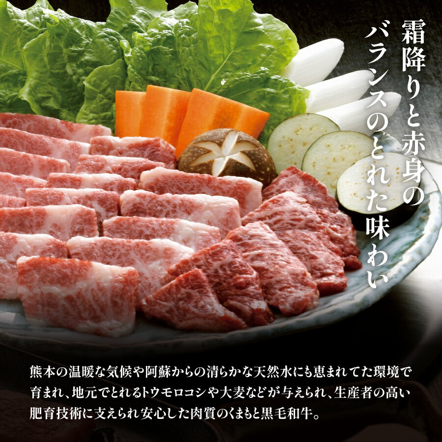 【ふるさと納税】【定期便3回】くまもと黒毛和牛　焼肉用　500g(産山村) 焼肉 焼き肉 熊本 阿蘇 産山村 黒毛和牛 忘年会 新年会 ギフト 贈答 お歳暮 【配送不可地域：離島】【e5-1412-2】