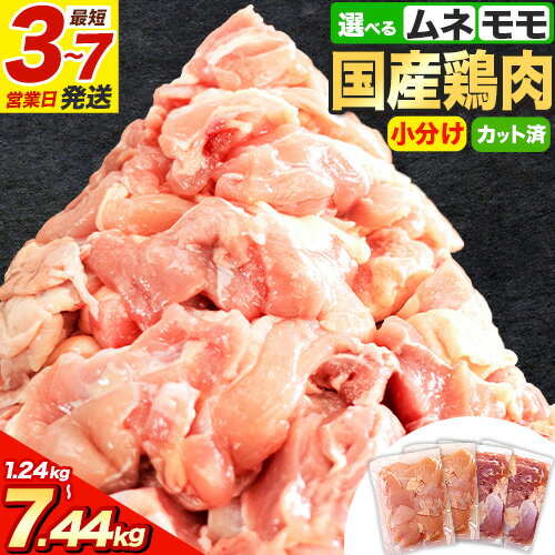 【ふるさと納税】\速攻出荷/ 鶏肉 小分け 発送時期 も選べる 鶏肉 鶏肉 もも肉 or むね肉 or ハーフセ...