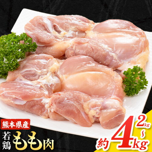 大容量 鶏肉 発送時期が選べる 鶏もも 鶏もも肉 4kg 熊本県産 若鶏もも肉 約2kg×2袋 《30日以内に出荷予定(土日祝除く)》 肉 鶏肉 若鶏 国産 真...