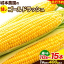 【ふるさと納税】 《先行受付開始》産地直送 朝採れスイートコーン(ゴールドラッシュ)15本セット 10本セット 特大 熊本 阿蘇 産山村 冷蔵 高糖度 夏野菜 ...