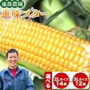 【ふるさと納税】 《先行受付中》産地直送 採れたて スイートコーン(恵味スター)選べる 2L・14本 セット or 3L・12本セット あさイチで紹介 特大 熊...