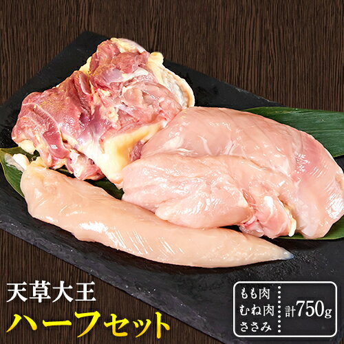 楽天熊本県産山村【ふるさと納税】天草大王 もも・むね・ささみセット 750g 【配送不可地域：離島】 あそ大王ファーム株式会社《60日以内に出荷予定（土日祝除く）》熊本 産山 鶏 鶏肉 セット