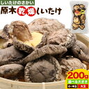 【ふるさと納税】しいたけ 阿蘇 原木乾燥しいたけ 選べる大きさ 小・中玉 または 大玉 200g《30日以内に出荷予定(土日祝除く)》原木 干し 乾燥 しいたけ 原木栽培 産山村 しいたけのさかい