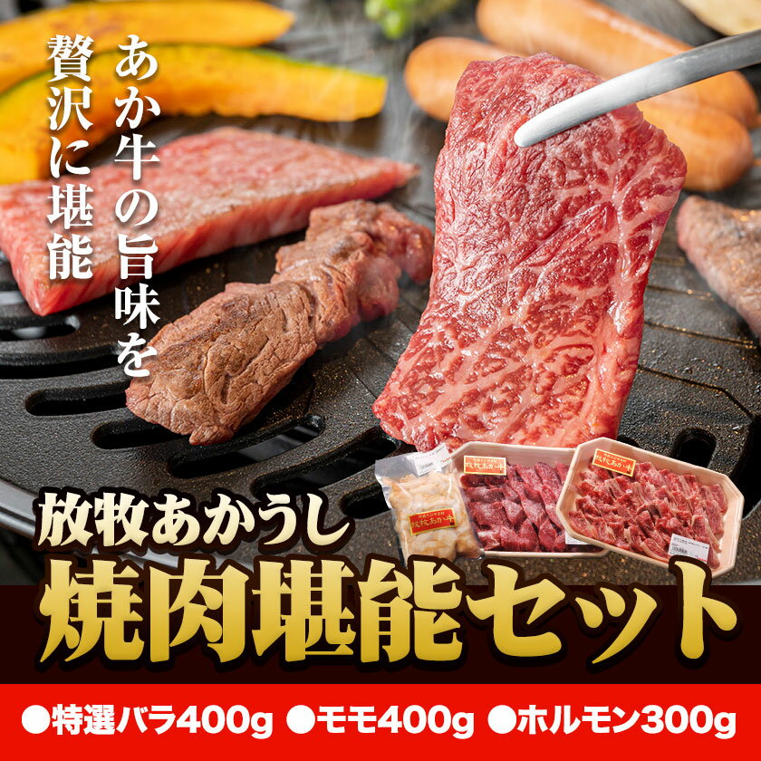【ふるさと納税】 うぶやま村 放牧 あか牛 焼肉 堪能セット 1.1kg 焼肉正 特選バラ モモ ホルモン 赤身 詰め合わせ セット BBQ 焼き肉 和牛 牛肉 牛 国産 あか牛 くまもとあか牛 大容量 ギフト 詰め合わせ 贈り物 お歳暮 熊本 阿蘇 産山村 《60日以内に出荷(土日祝除く)》