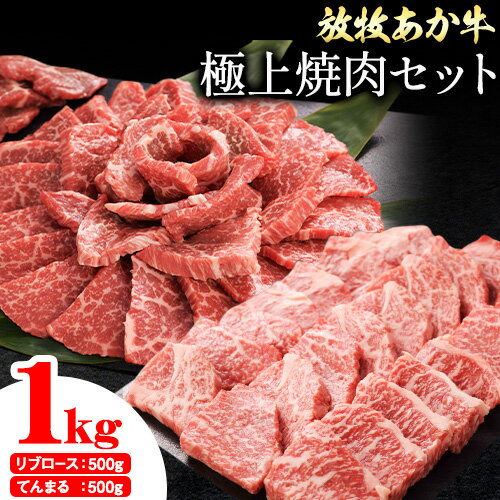 【ふるさと納税】 阿蘇うぶやま村の放牧あか牛極上焼肉セット1kg リブロース てんまる たっぷり BBQ 焼き肉 赤身 和牛 牛肉 牛 国産 あか牛 焼肉正 人気 ギフト 詰め合わせ 贈り物 お中元 お歳暮 贈答 熊本 阿蘇 産山村 送料無料《60日以内に出荷(土日祝除く)》 【ふるさと納税】 阿蘇うぶやま村の放牧あか牛極上焼肉セット1kg リブロース てんまる たっぷり BBQ 焼き肉 赤身 和牛 牛肉 牛 国産 あか牛 焼肉正 人気 ギフト 詰め合わせ 贈り物 お中元 お歳暮 贈答 熊本 阿蘇 産山村 送料無料《60日以内に出荷(土日祝除く)》