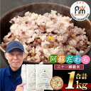 【ふるさと納税】熊本県産 三十一雑穀米 合計 1kg 500g×2袋 阿蘇だわら お米 雑穀米 熊本県 高森町 国産 送料無料 5-14営業日以内出荷 土日祝出荷除く