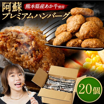 【ふるさと納税】阿蘇プレミアムハンバーグ 合計3kg (150g×20個) あか牛 ハンバーグ 加工品 惣菜 個包装 おかず 温めるだけ 簡単調理 熊本県産 九州産 国産 冷凍 送料無料