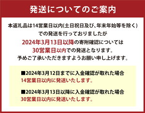 【ふるさと納税】【令和5年産】阿蘇だわら 選べる 精米 玄米 無洗米 (10kg～54kg / 10kg～20kg / 10kg～45kg) 熊本県 高森町 オリジナル米 選べる お米 白米 ブレンド米 ふるさと納税米 熊本県 高森町 返礼品 ふるさと納税熊本県 ランキング1位 送料無料