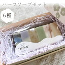 【ふるさと納税】ハーフソープセット 6種類 れいざん 50g×1個 あわゆき 50g×1個 はちみつカレンデュラ 50g×1個 グリーンティ 50g×1個 バー...
