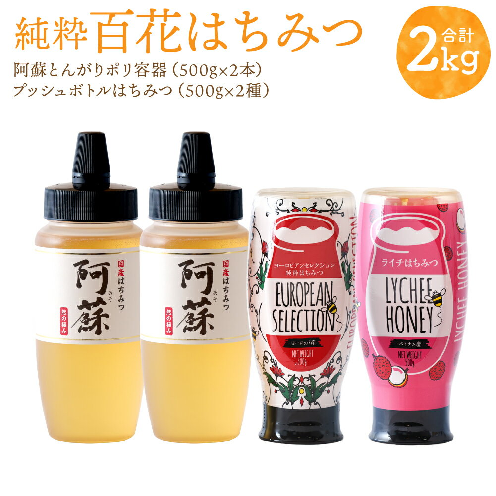【ふるさと納税】純粋 百花はちみつ 合計2kg (500g×4本) とんがりポリ容器 プッシュボトル ヨーロピアンセレクション蜂蜜 ライチ蜂蜜 ハチミツ はちみつ ハニー 蜂蜜 阿蘇 送料無料のサムネイル