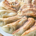 【ふるさと納税】くまもとあか牛100%餃子 合計60個 20個入×3パック あか牛 和牛 焼き餃子 おかず 中華 惣菜 国産 九州産 熊本県産 冷凍 送料無料