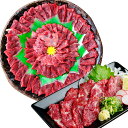 熊本 馬刺し 上霜降り (トロ) + 赤身 2種 合計1kg 各500g 50g×各10個 セット 馬肉 霜降り 赤身 食べ比べ 桜肉 国内肥育 専用タレ 生姜付き 小分け 冷凍 熊本県 高森町 送料無料