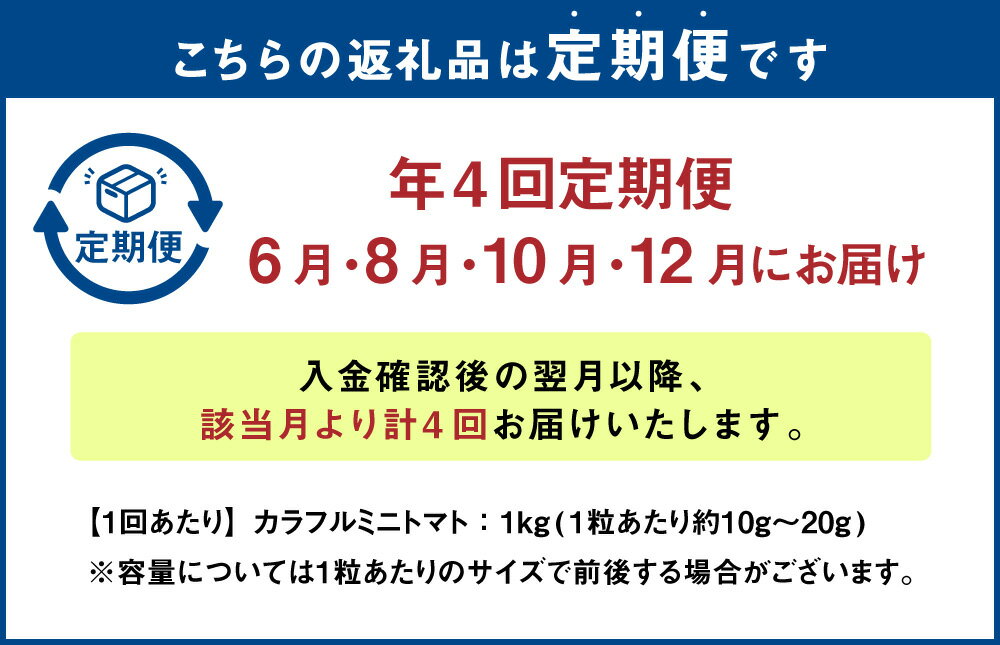 【ふるさと納税】【年4回定期便】カラフルミニトマト 合計4kg 各便約1kg 計4回 野菜 トマト 青果 ベジタブル 国産 九州産 熊本産 高森町産 冷蔵 送料無料【毎年6月上旬より順次発送】