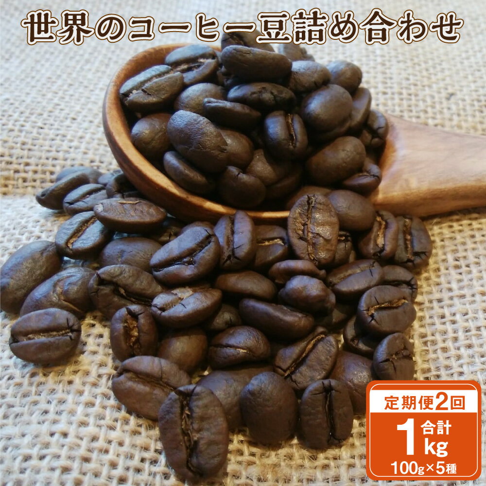 [2ヶ月定期便]世界の コーヒー豆 詰め合わせ 合計1kg 500g (100g×5種) コーヒー 珈琲 自家焙煎 飲料 ドリンク 飲み比べ お取り寄せ 熊本県 阿蘇 高森町 送料無料