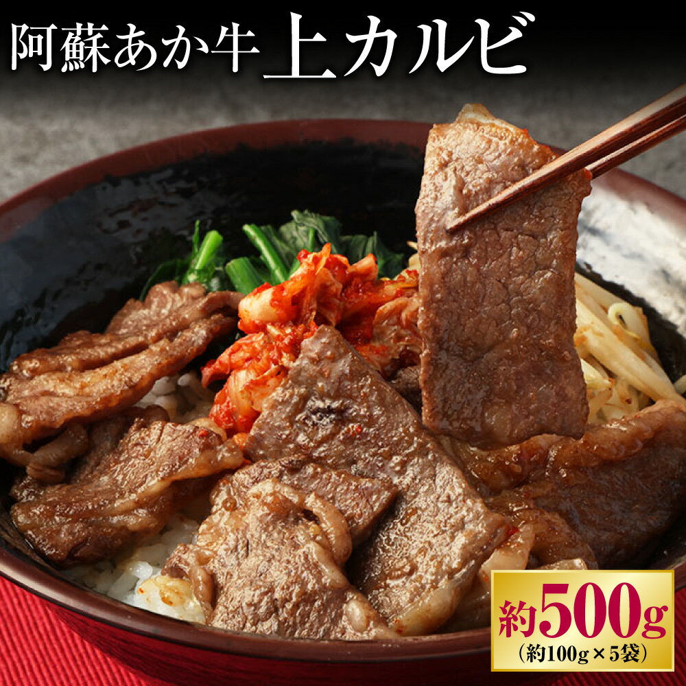 阿蘇あか牛 上カルビ 約500g 100g×5袋 あか牛 牛肉 和牛 肉 お肉 カルビ カルビ肉 お取り寄せ グルメ 冷凍 九州 熊本県 高森町 送料無料