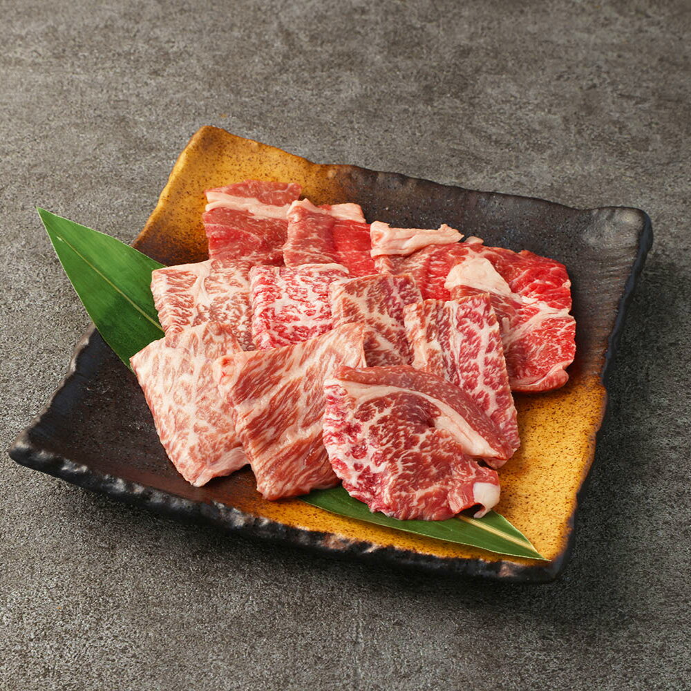 【ふるさと納税】阿蘇あか牛 上ロース 約500g 100g×5袋 あか牛 牛肉 和牛 肉 お肉 ロース お取り寄せ グルメ 冷凍 九州 熊本県 高森町 送料無料