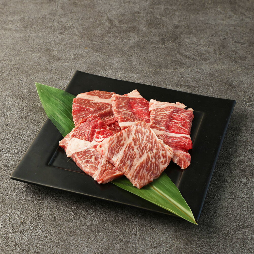 【ふるさと納税】阿蘇あか牛 上ロース 約500g 100g×5袋 あか牛 牛肉 和牛 肉 お肉 ロース お取り寄せ グルメ 冷凍 九州 熊本県 高森町 送料無料
