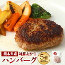 【ふるさと納税】阿蘇あか牛 ハンバーグ 150g×5個 計750g あか牛肉100% あか牛 牛肉 和牛 肉 お肉 惣菜 おかず 簡単調理 焼くだけ お取り寄せ グルメ 冷凍 九州 熊本県 高森町 送料無料