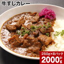 【ふるさと納税】牛すじカレー(250g×8パック) 計2,000g カレー 黒毛和牛 牛すじ 和風ベース 冷凍 熊本県 高森町