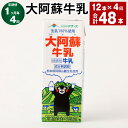 【ふるさと納税】【定期便】【1ヶ月毎4回】大阿蘇牛乳 計48本(12本×4回) 1本あたり200ml 紙パック 生乳100% 牛乳 乳飲料 乳性飲料 成分無調整...