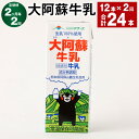 【ふるさと納税】【定期便】【2ヶ月毎2回】大阿蘇牛乳 計24本(12本×2回) 1本あたり200ml 紙パック 生乳100% 牛乳 乳飲料 乳性飲料 成分無調整...
