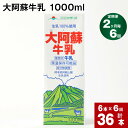 【ふるさと納税】【定期便】【2ヶ月毎 6回】 大阿蘇牛乳 1000ml 計36本 (6本×6回) 牛乳 成分無調整牛乳 パック 乳飲料 乳性飲料 熊本県産