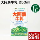 【ふるさと納税】【定期便】【1ヶ月毎 11回】大阿蘇牛乳 250ml 計264本(24本×11回) 計66L 牛乳 飲料 生乳100% 乳飲料 ミルク 無調整牛乳 らくのうマザーズ 常温保存可能 ロングライフ牛乳 朝食 九州 熊本 高森町