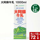 【ふるさと納税】【定期便】【1ヶ月毎 12回】 大阿蘇牛乳 1000ml 計72本 (6本×12回) 牛乳 成分無調整牛乳 パック 乳飲料 乳性飲料 熊本..