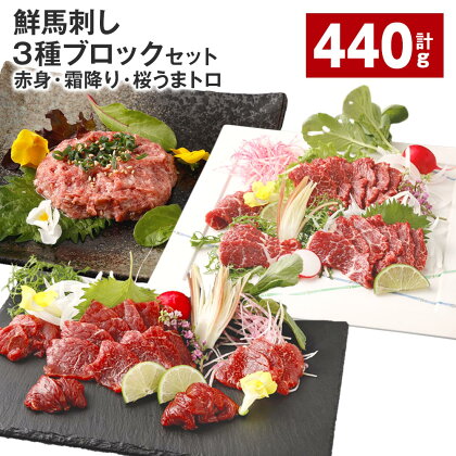 鮮馬刺し 3種ブロックセット（赤身・霜降り・桜うまトロ） 計440g 馬刺し 馬肉 お肉 肉 馬脂 タレ付き 万能ソース付き 冷凍 熊本県 高森町 送料無料