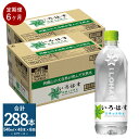 【ふるさと納税】【定期便6ヶ月】い・ろ・は・す（いろはす）阿蘇の天然水 540mlPET 計48本×6回 合計288本 540mlPET×24本×2ケース 水 箱 飲料水 天然水 軟水 ミネラルウォーター コカ・コーラ ドリンク ペットボトル 阿蘇 熊本県 送料無料