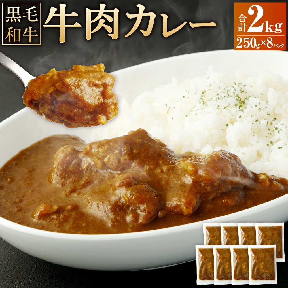 【ふるさと納税】牛肉カレー(250g×8パック) 計2,00