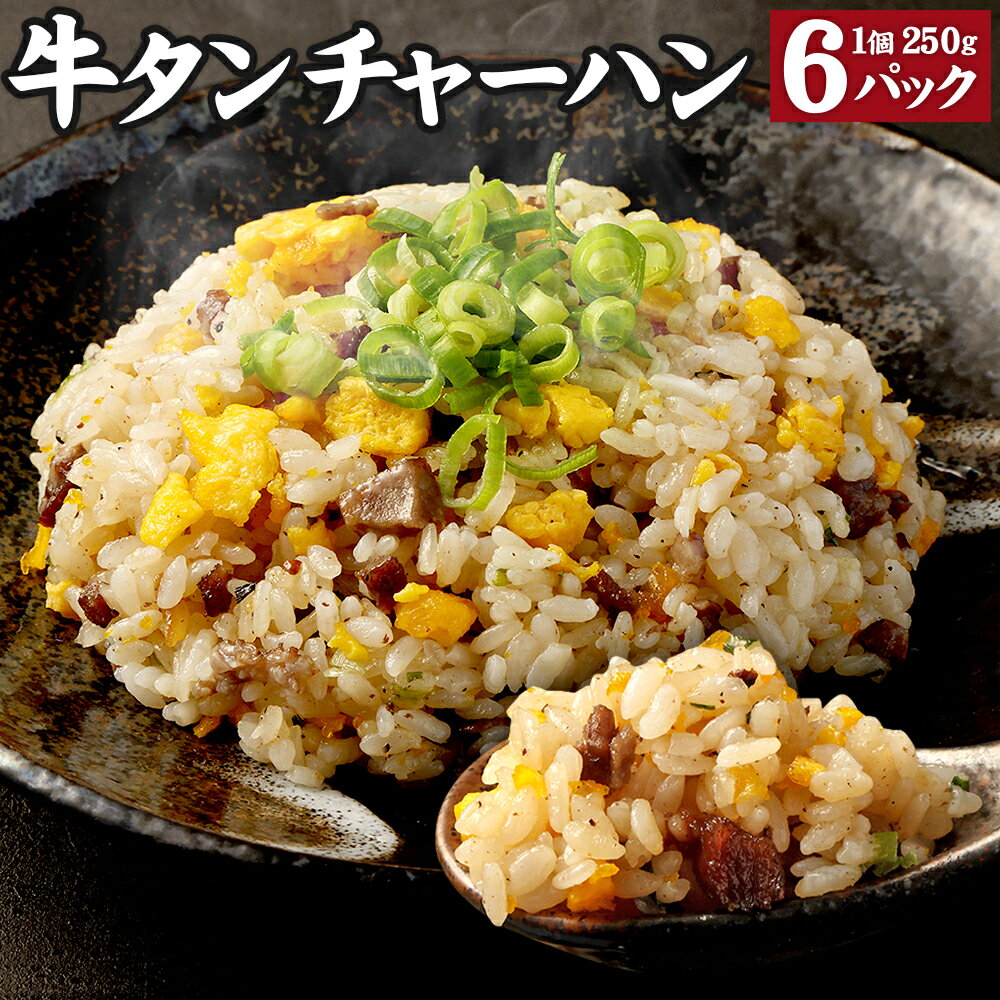 【ふるさと納税】牛タンチャーハン 1.5kg (250g×6