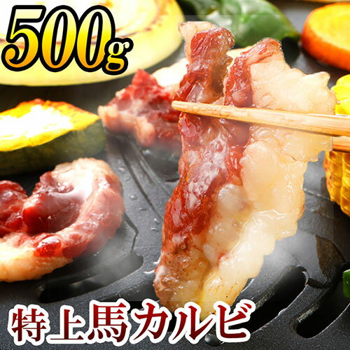 【ふるさと納税】特上馬カルビ 合計500g 100g×5 カルビ 焼肉用 焼き肉 刺身用 馬刺し 馬 馬肉 肉 お肉 刺身 国産 冷凍 送料無料のサムネイル