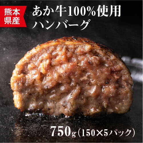 【ふるさと納税】健康あか牛ハンバーグステーキ 150g×5個 合計750g あか牛 ハンバーグ 和牛 惣菜 焼くだけ 簡単調理 洋食 冷凍 送料無料