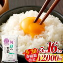 【ふるさと納税】9/30まで寄附額改定中!! 14営業日以内発送 訳あり 阿蘇のお米 選べる 容量 ( 5kg / 10kg / 12kg / 14kg / 16kg ) 12000 円~ 34000 円 1万2000 円~ 3万4000 円 | わけあり 米 コメ 白米 ご飯 精米 ブレンド米 国産 高レビュー 高評価 熊本県産 送料無料
