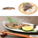 【ふるさと納税】阿蘇から届く かわべの湧水やまめ 80g×16匹 (串なし8匹・串あり8匹) 合計1280g 魚 川魚 内臓処理済 ヤマメ 山女魚 焼き魚 真空パック 個包装 アウトドア キャンプ BBQ 焼くだけ 冷凍 熊本県産 九州産 国産 送料無料 3