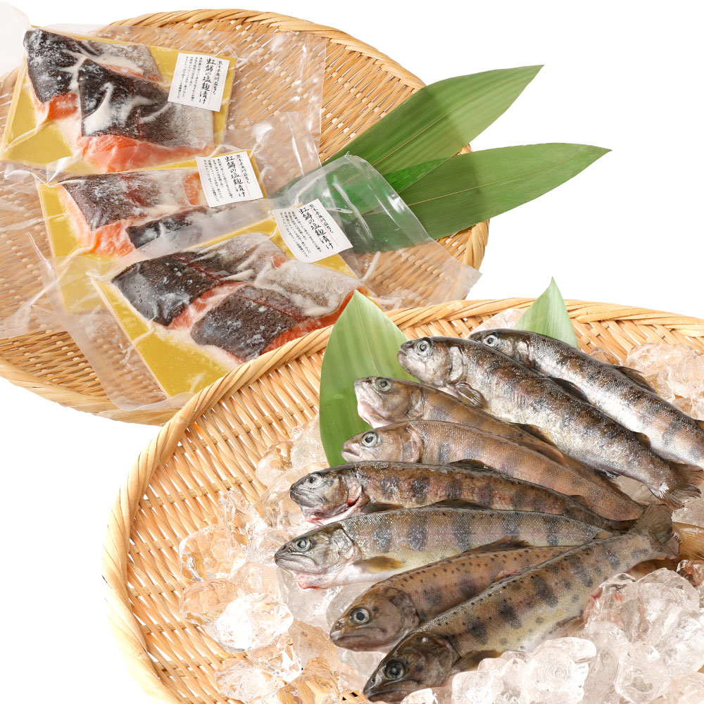 【ふるさと納税】阿蘇から届く かわべの湧水やまめ (8匹) と かわべのASOサーモン塩麴仕立て (480g) セット 2種 魚 川魚 内臓処理済...