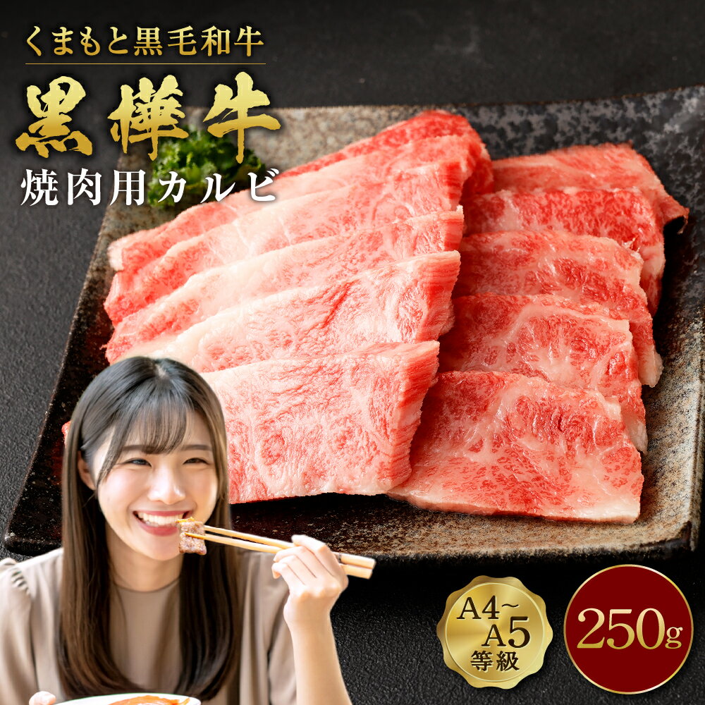 くまもと黒毛和牛 黒樺牛 A4〜A5等級 焼肉用カルビ 合計250g 牛肉 牛 霜降り 赤身 お肉 焼き肉 BBQ 黒毛和牛 国産 九州産 熊本県産 冷凍 送料無料