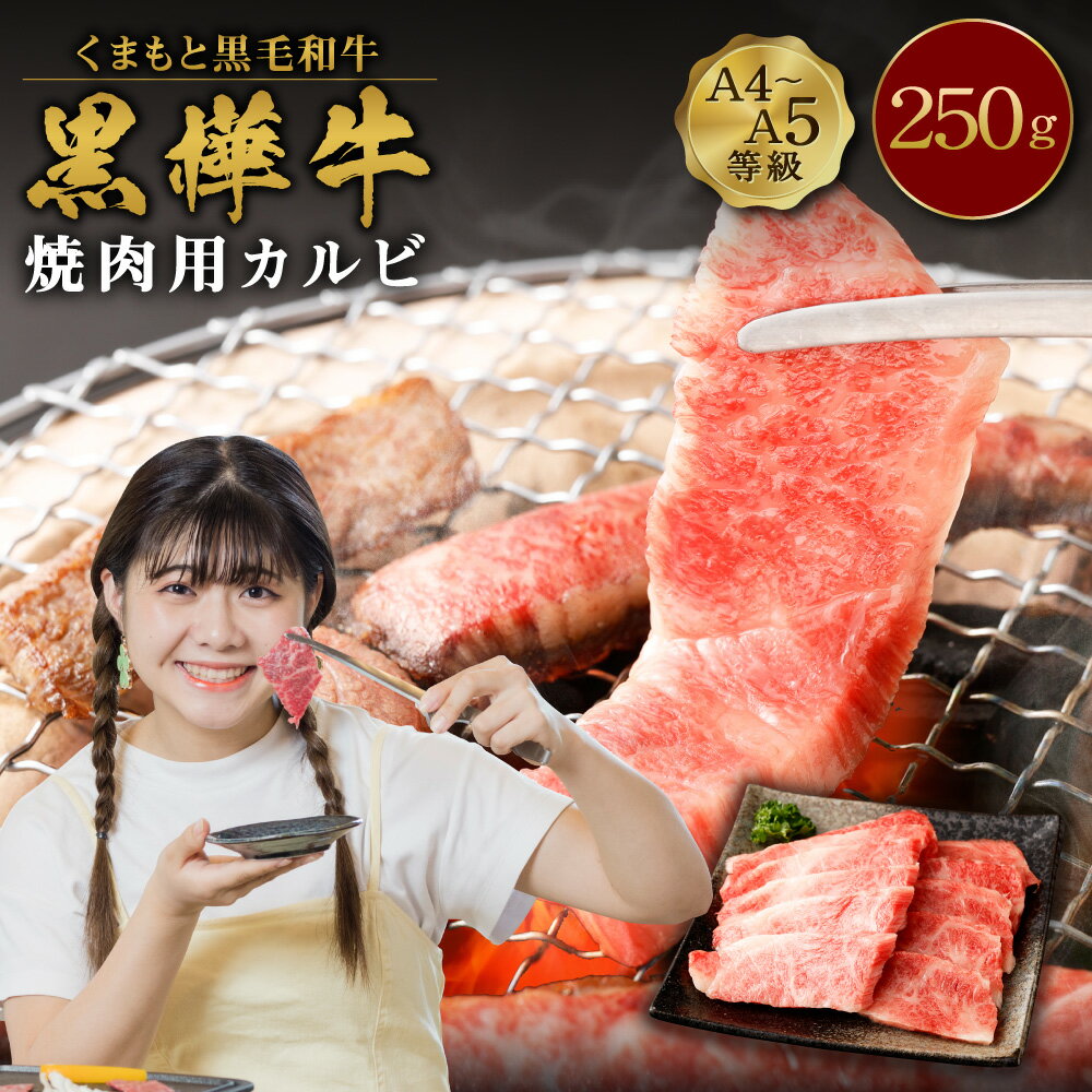 くまもと黒毛和牛 黒樺牛 A4〜A5等級 焼肉用カルビ 合計250g 牛肉 牛 霜降り 赤身 お肉 焼き肉 BBQ 黒毛和牛 国産 九州産 熊本県産 冷凍 送料無料