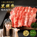 【ふるさと納税】くまもと黒毛和牛 黒樺牛 A4~A5等級 焼肉用カルビ 合計500g (250g×2パック) 牛肉 牛 霜降り 赤身 お肉 焼き肉 BBQ 黒毛和牛 国産 九州産 熊本県産 冷凍 送料無料