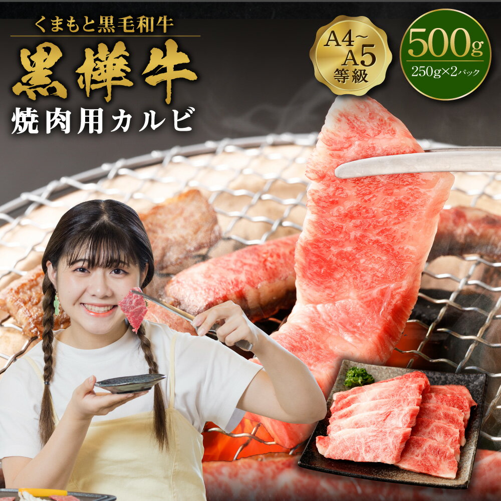 くまもと黒毛和牛 黒樺牛 A4~A5等級 焼肉用カルビ 合計500g (250g×2パック) 牛肉 牛 霜降り 赤身 お肉 焼き肉 BBQ 黒毛和牛 国産 九州産 熊本県産 冷凍 送料無料