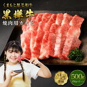 【ふるさと納税】くまもと黒毛和牛 黒樺牛 A4~A5等級 焼肉用カルビ 合計500g (250g×2パック) 牛肉 牛 霜降り 赤身 お肉 焼き肉 BBQ 黒毛和牛 国産 九州産 熊本県産 冷凍 送料無料