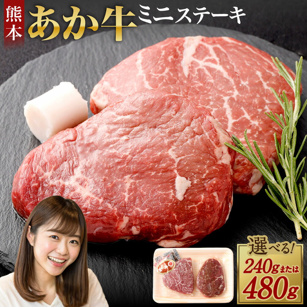 【ふるさと納税】熊本 赤牛ミニステーキ 240g または 480g 1パック 120g 選べる 容量 ランプ使用 国産 九州産 熊本県産 希少部位 冷凍 肉 あか牛 和牛 ステーキ 送料無料