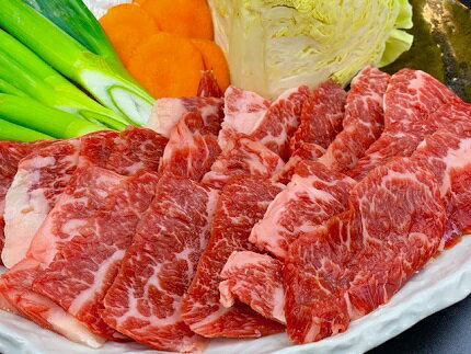 【ふるさと納税】024-004 熊本県産和牛 GI認証取得 くまもとあか牛 焼き肉用切り落とし 合計600gのサムネイル