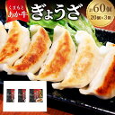 【ふるさと納税】熊本和牛 あか牛ぎょうざ 計60個(20個入り×3箱) キャベツ 野菜 牛肉 お肉 和牛 褐毛和種 霜降り 赤身 惣菜 餃子 ギョーザ 冷凍 熊本県 西原村 送料無料
